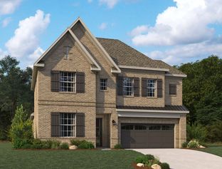 Avery - Aster Park: McKinney, Texas - Ashton Woods
