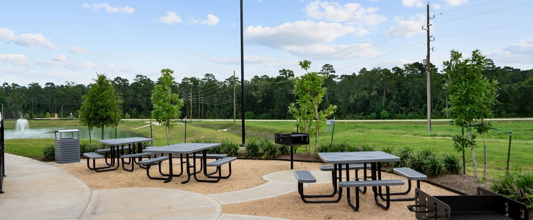 24214 Dewey Trail (Cypress)