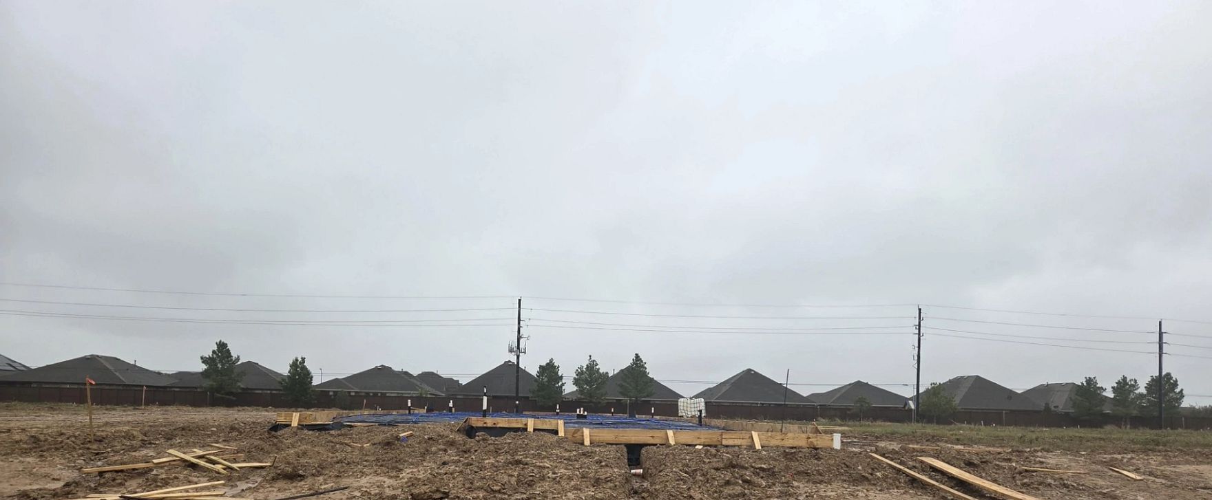 23631 Red Rowan Lane (Sage) Image