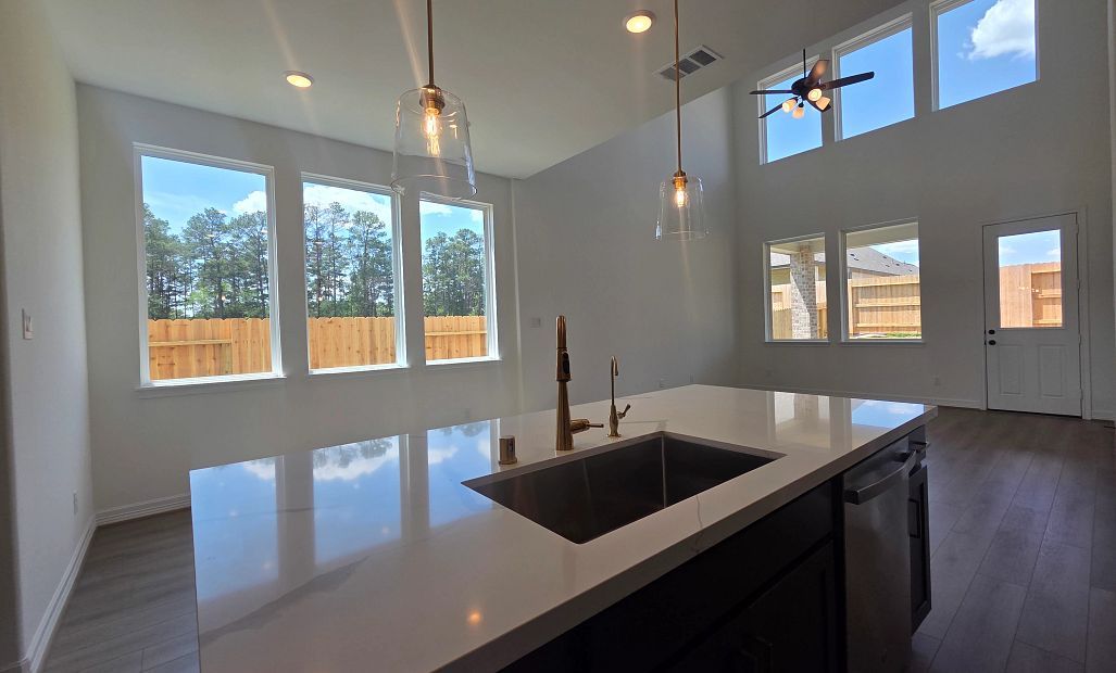 21550 WItham Promenade Lane (Marigold) Image