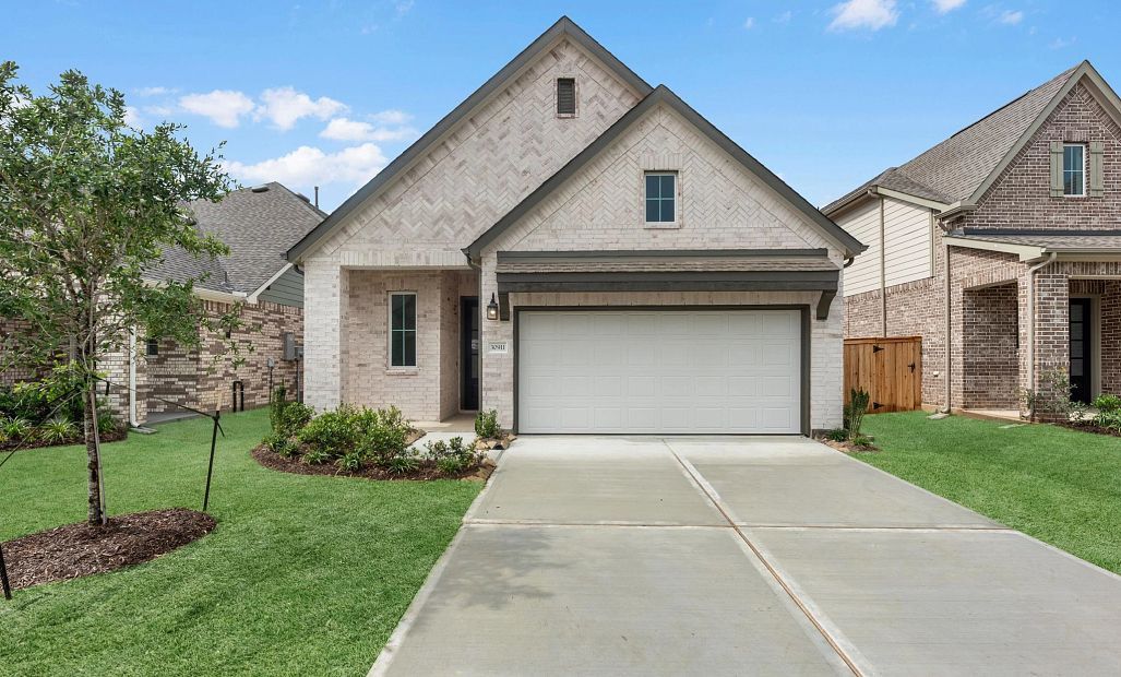 Willow - Wildrye: Waller, Texas - Ashton Woods