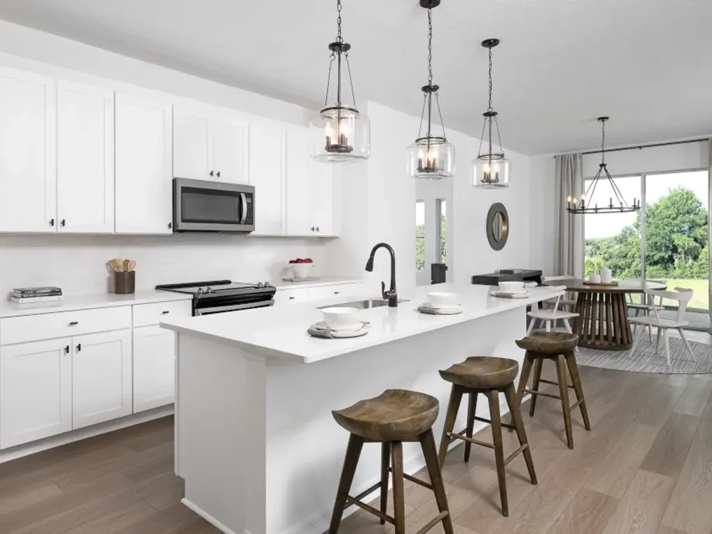 Badland II - Weslyn Park: Saint Cloud, Florida - Ashton Woods