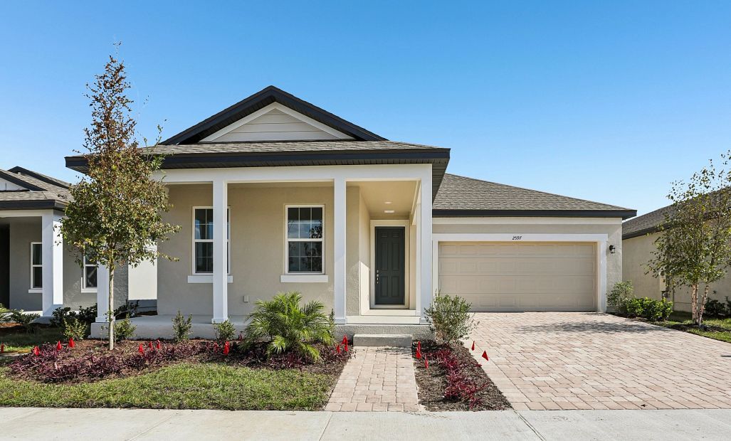 2597 Broadwing St (Plant)