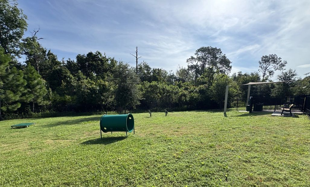 Dog Park