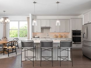 Chapin - Northlake at Ovation: Winter Garden, Florida - Ashton Woods