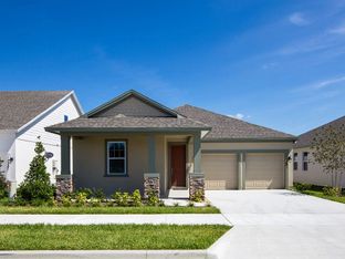 Douglas - Hawks Run: Kissimmee, Florida - Ashton Woods