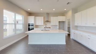 Essex - Northlake at Ovation: Winter Garden, Florida - Ashton Woods