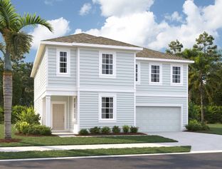 Moseley II - Ardisia Park: New Smyrna Beach, Florida - Ashton Woods