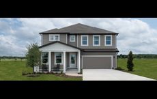 Ardisia Park: New Smyrna Beach, Florida - Ashton Woods