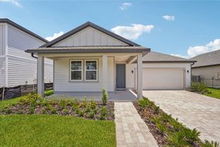 Douglas II - Ardisia Park: New Smyrna Beach, Florida - Ashton Woods