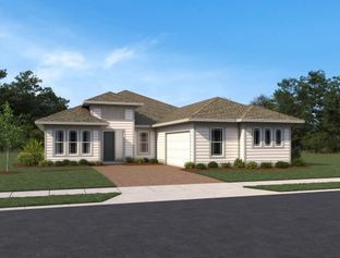 Erie - Ardisia Park: New Smyrna Beach, Florida - Ashton Woods
