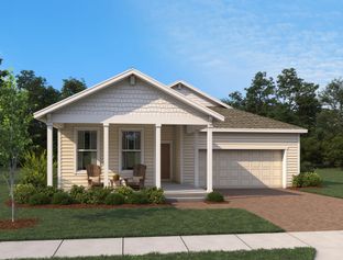 Hemingway II - Ardisia Park: New Smyrna Beach, Florida - Ashton Woods
