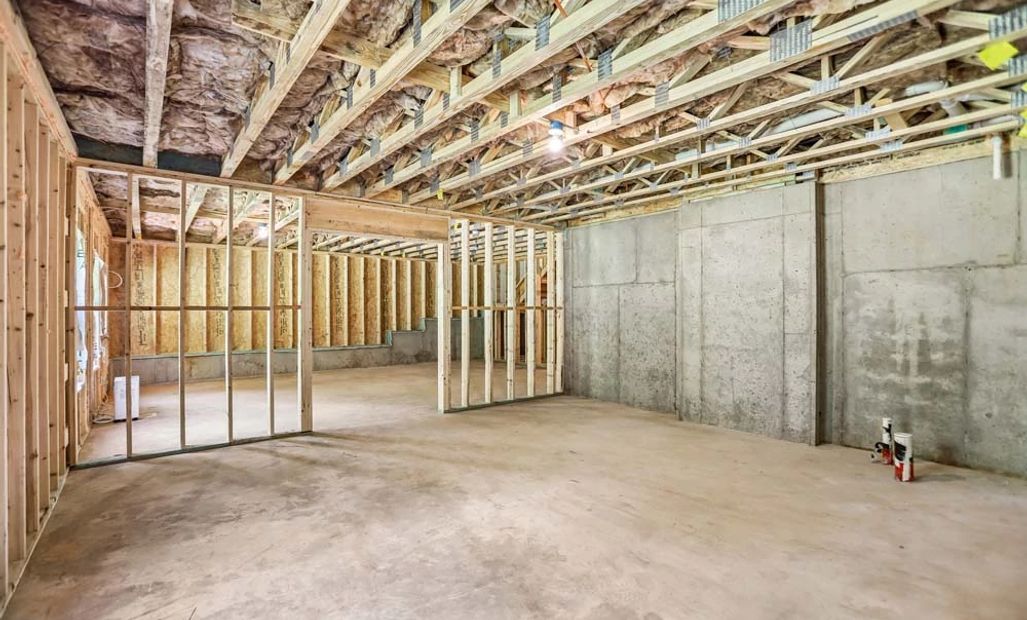 Unfinished Basement