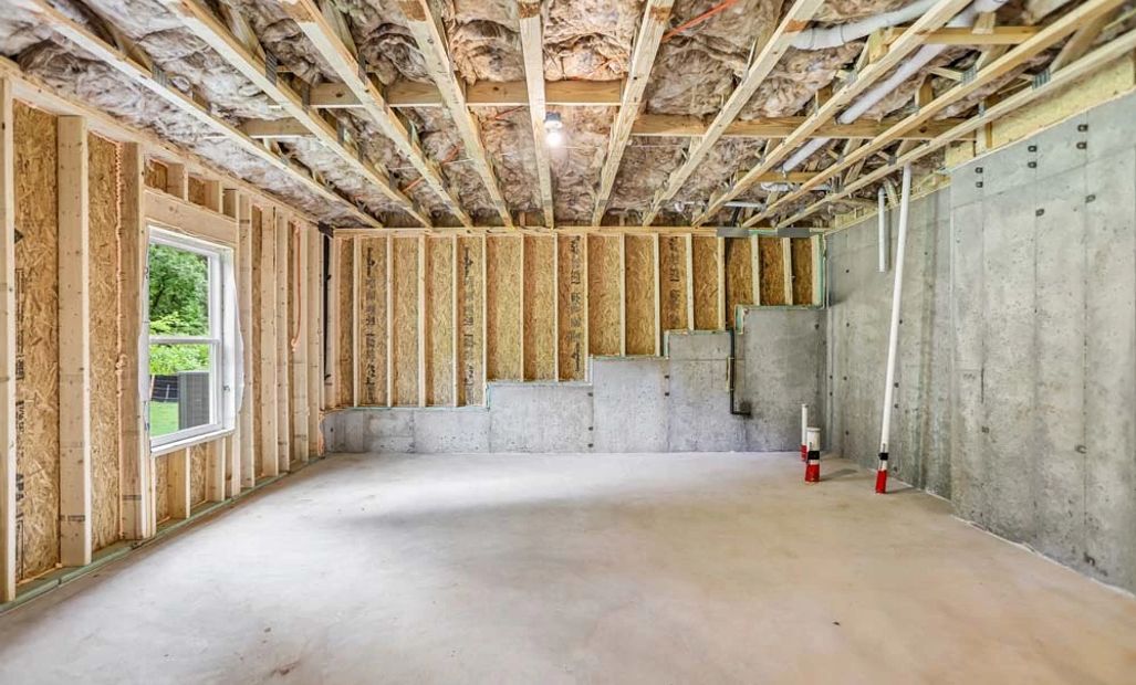 Unfinished Basement