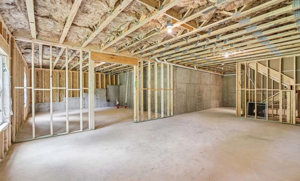 Unfinished Basement