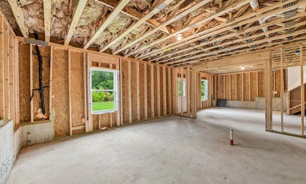 Unfinished Basement