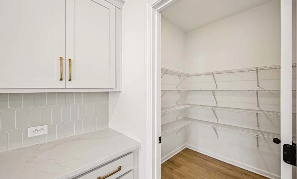 Sample Photo: Walk-In Pantry
