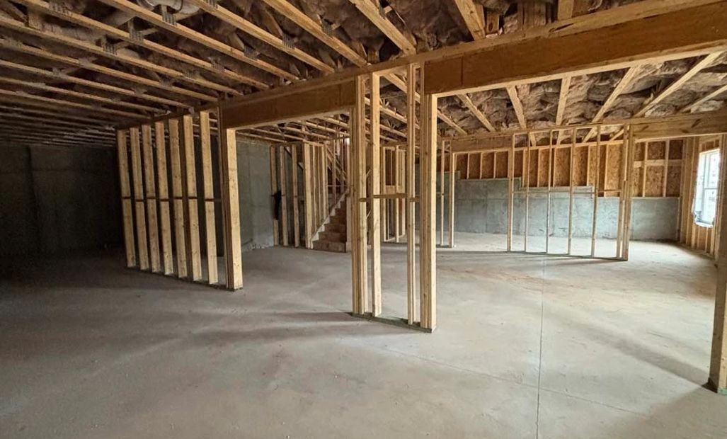Unfinished Basement
