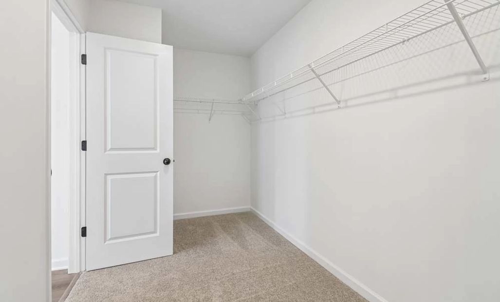 Sample Photo: Primary Bedroom Walk-In Closet