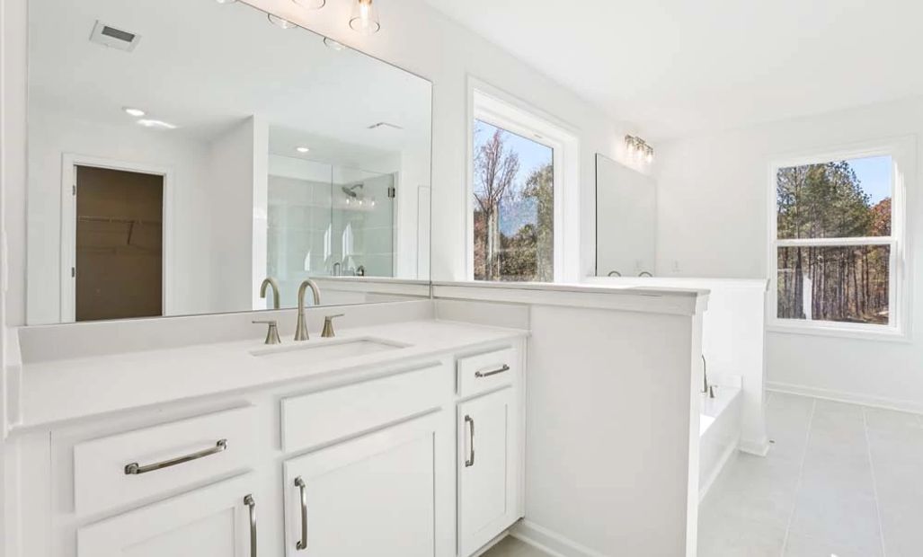 Sample Photo: Primary Bathroom featuring Harmony Collection Finishes