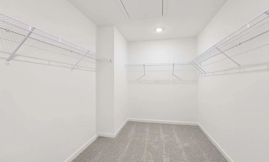Sample Photo: Primary Bedroom Walk-In Closet