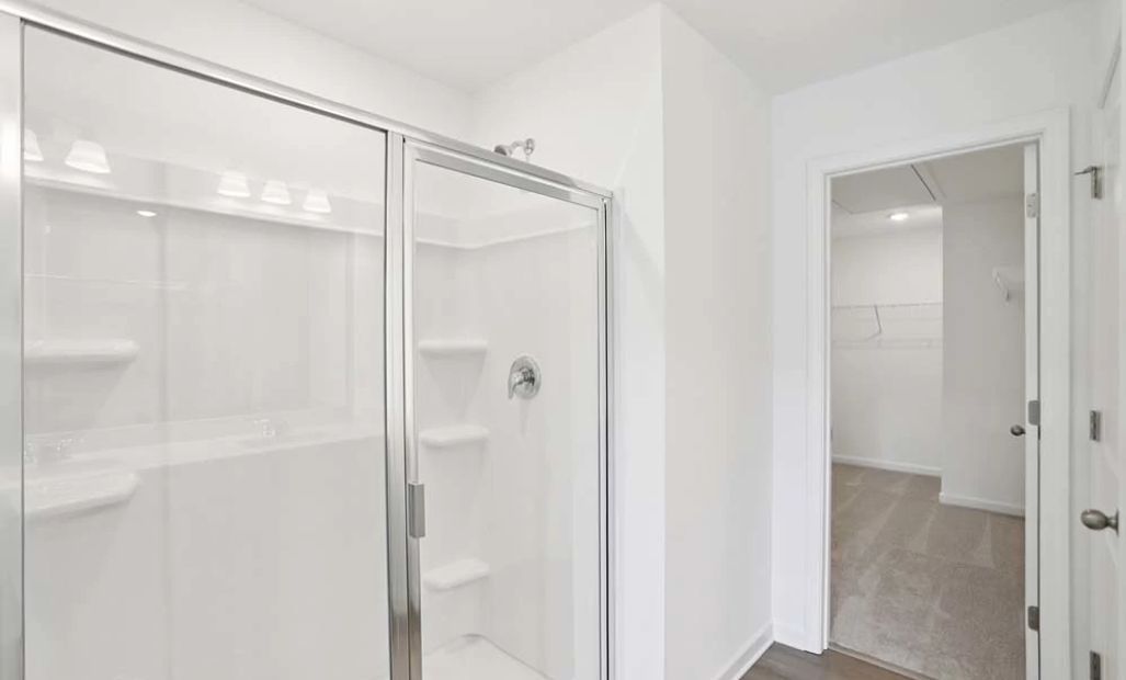 Sample Photo: Primary Bathroom Walk-In Shower