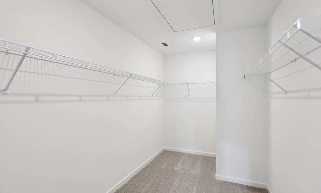 Sample Photo: Primary Bedroom Walk-In Closet