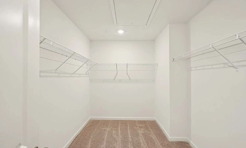 Sample Photo: Primary Bedroom Walk-In Closet