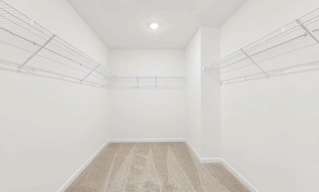 Sample Photo: Primary Bedroom Walk-In Closet
