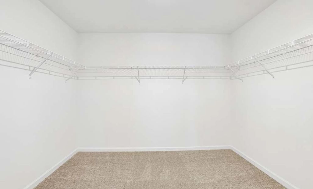 Sample Photo: Primary Bedroom Walk-In Closet