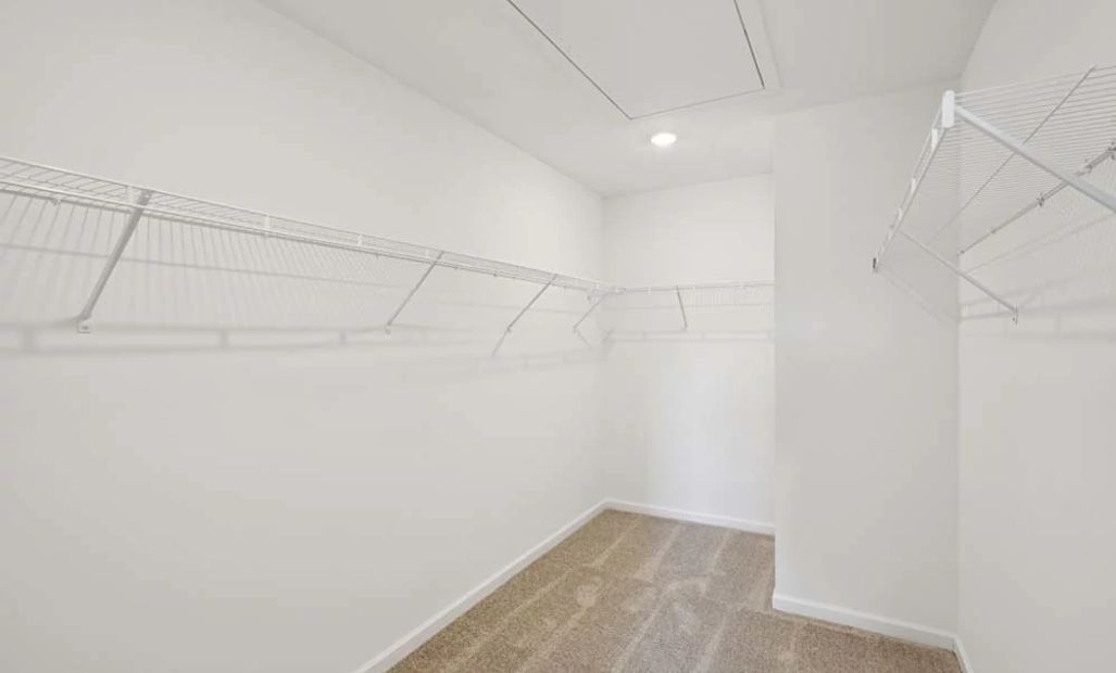 Sample Photo: Primary Bedroom Walk-In Closet