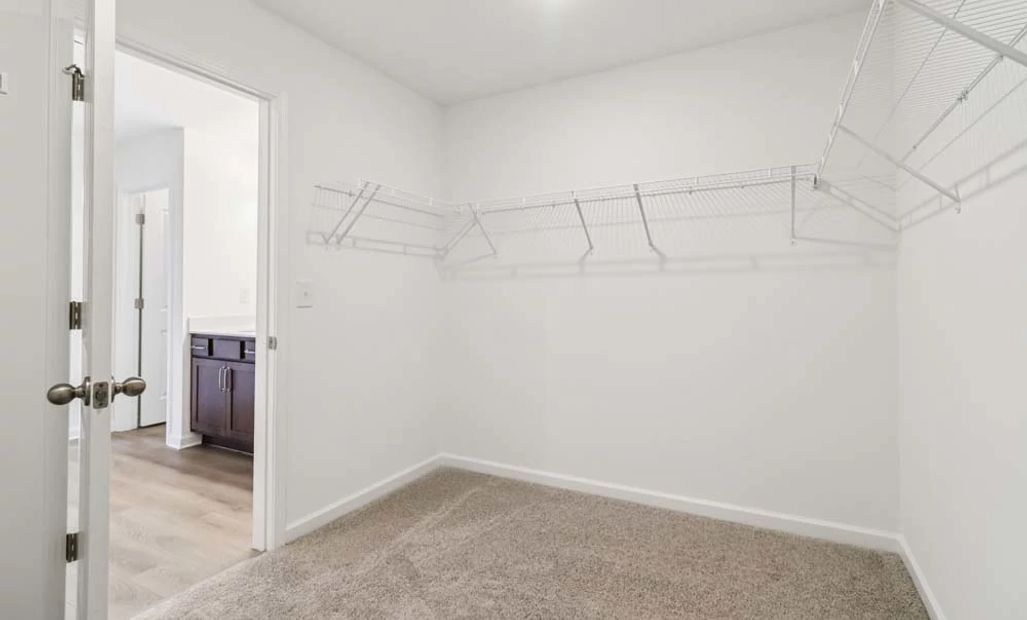 Sample Photo: Primary Bedroom Walk-In Closet
