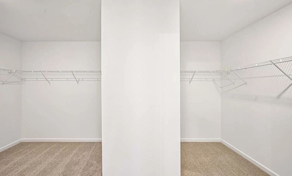 Sample Photo: Primary Bedroom Walk-In Closet