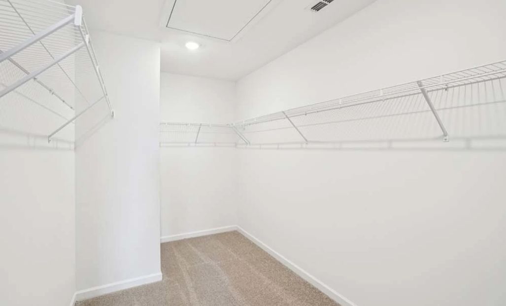 Sample Photo: Primary Bedroom Walk-In Closet