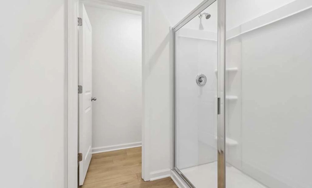 Primary Bathroom Walk-In Shower