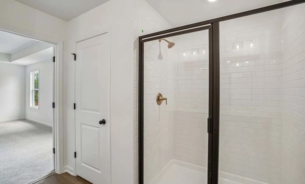 Sample Photo: Primary Bathroom Walk-In Shower