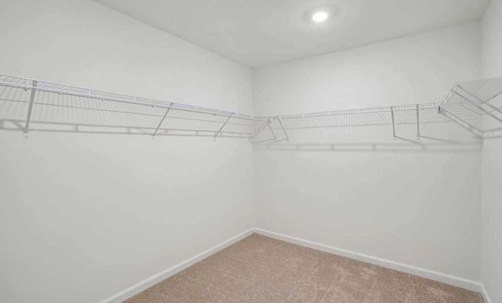 Sample Photo: Primary Bedroom Walk-In Closet