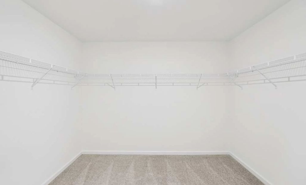 Sample Photo: Primary Bedroom Walk-In Closet