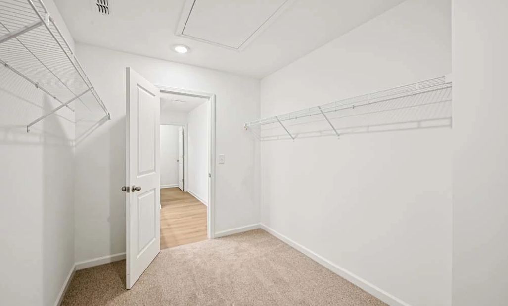 Sample Photo: Primary Bedroom Walk-In Closet