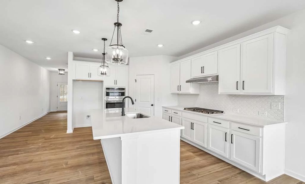 Representative Photo: Kitchen featuring Harmony Collection Fiishes