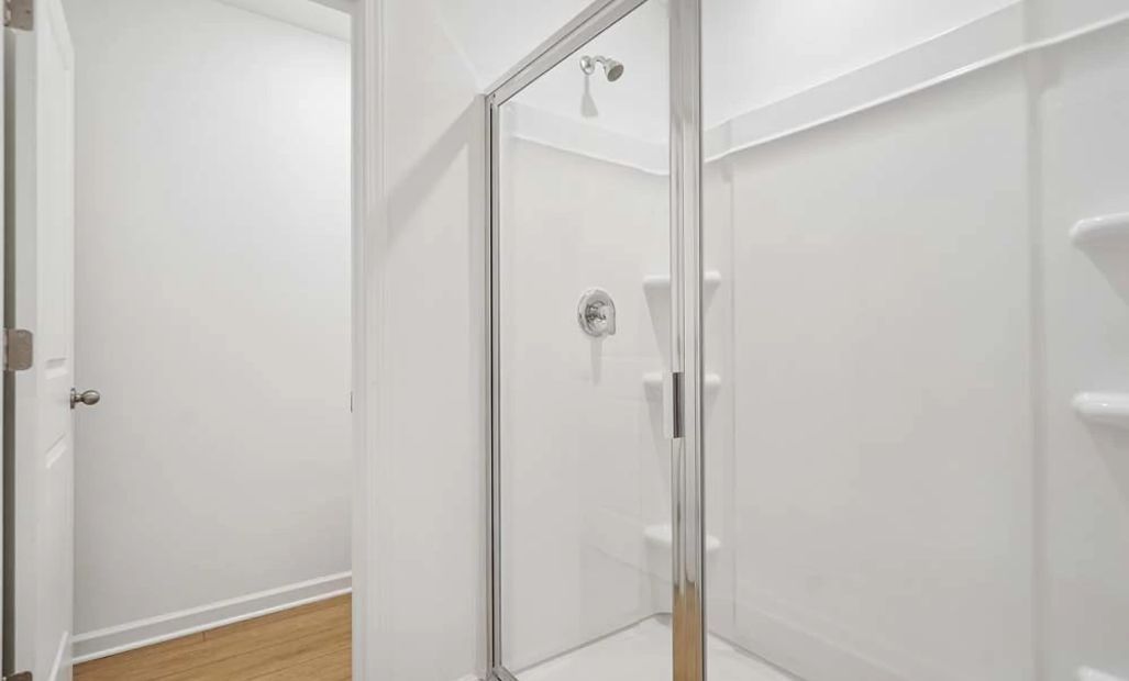 Primary Bathroom Walk-In Shower
