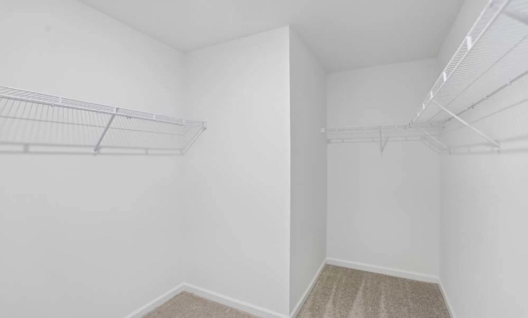 Primary Bedroom Walk-In Closet