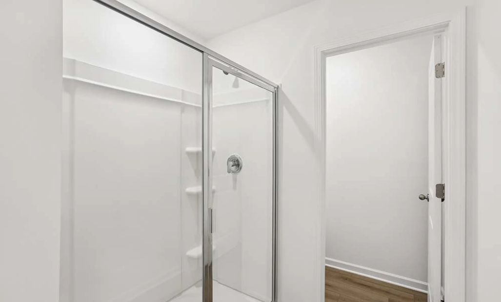 Primary Bathroom Walk-In Shower