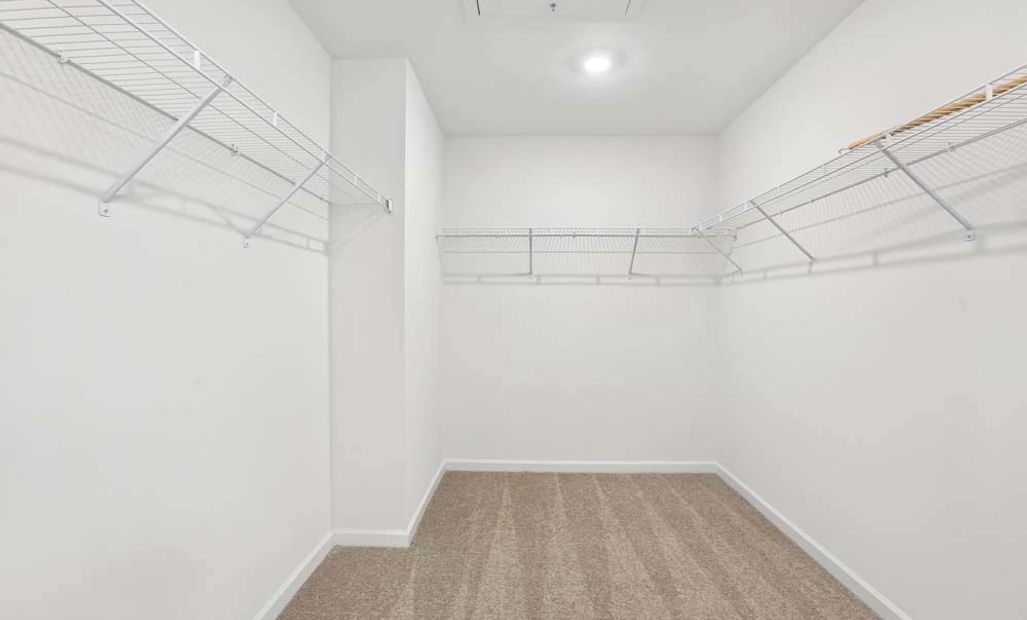 Primary Bathroom Walk-In Closet
