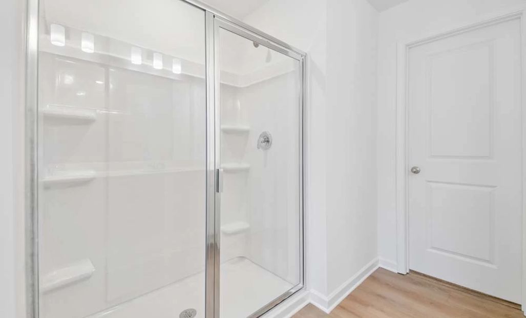Primary Bathroom Walk-In Shower