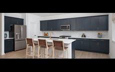 Eastlyn Crossing: Flowery Branch, Georgia - Ashton Woods