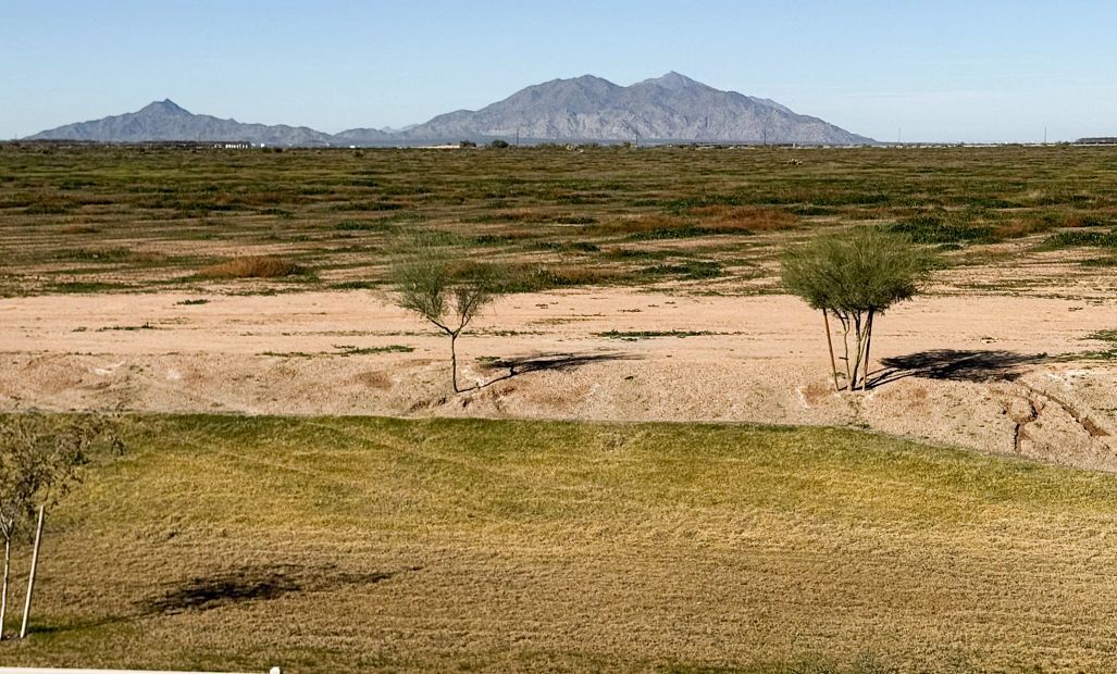 47384 W Kenner Dr (Snapdragon)