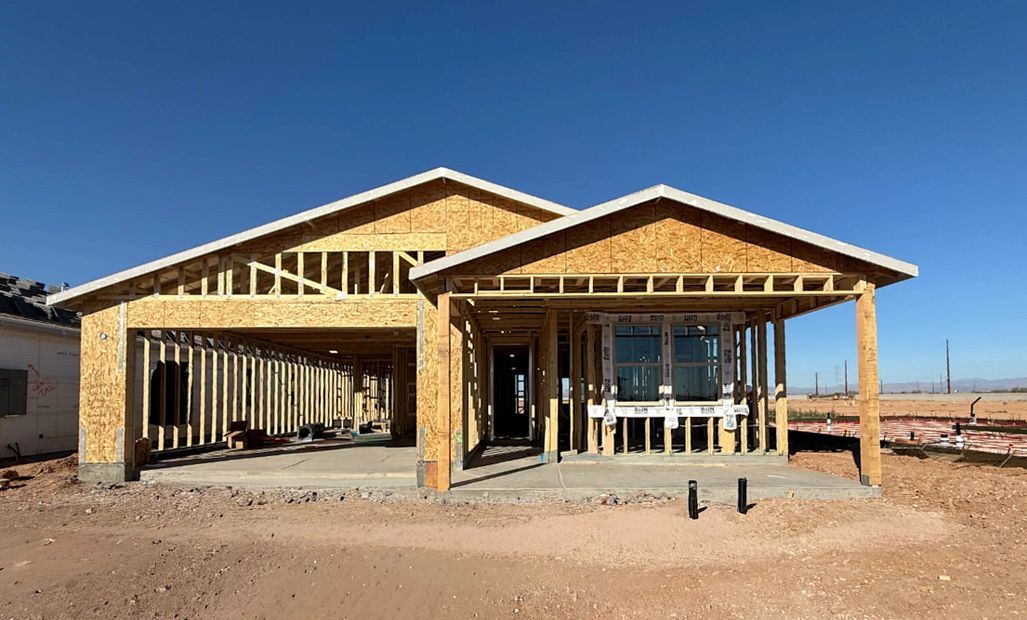 6586 E Fiddleneck Way (Lilac)