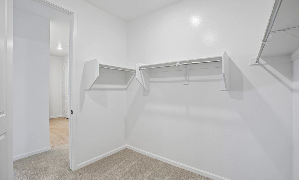 Primary walk in closet