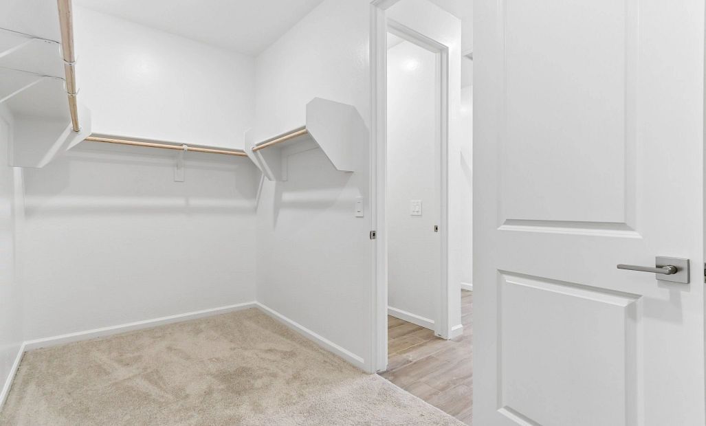 Primary walk in closet